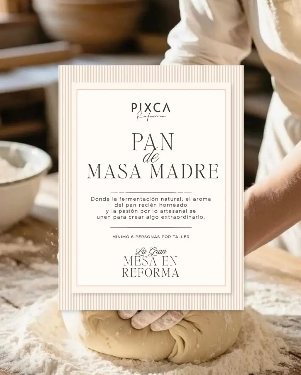 taller-pan-masa-madre-compressed